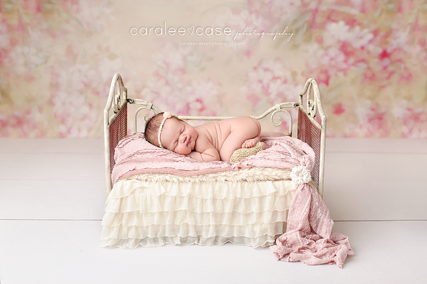 78x56 shabby fairy fabricstock:: A1