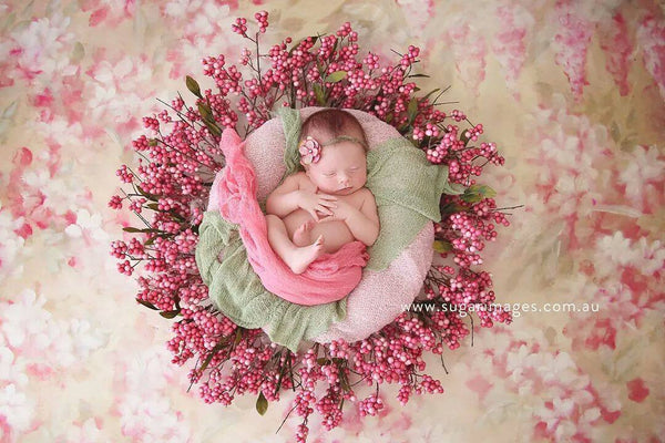 Shabby Fairy