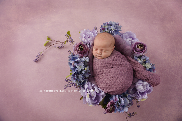 76x60 Dusty Wisteria dream weave:: deal