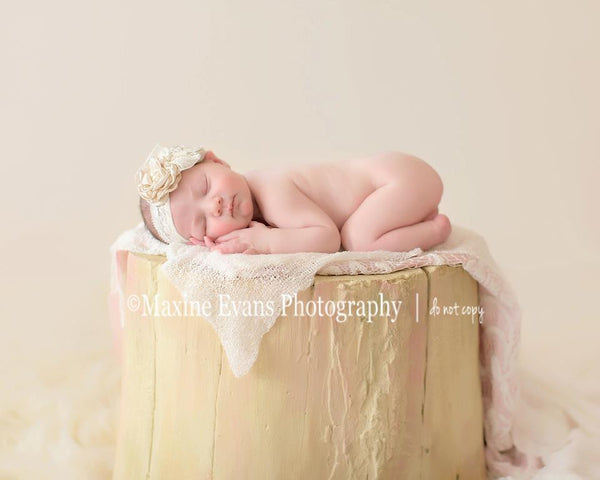 shabby fairy stump