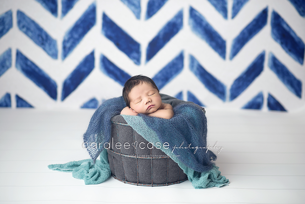 Little Boy Blue