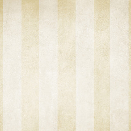 Neutral Stripes