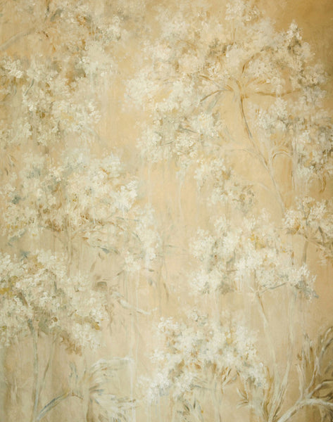 Queen Anne's Lace